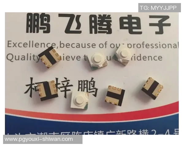 pg52000模拟器-关于pg52000模拟器的深度探讨-pg52000模拟器 pg52000模拟器-关于pg52000模拟器的深度探讨-pg52000模拟器